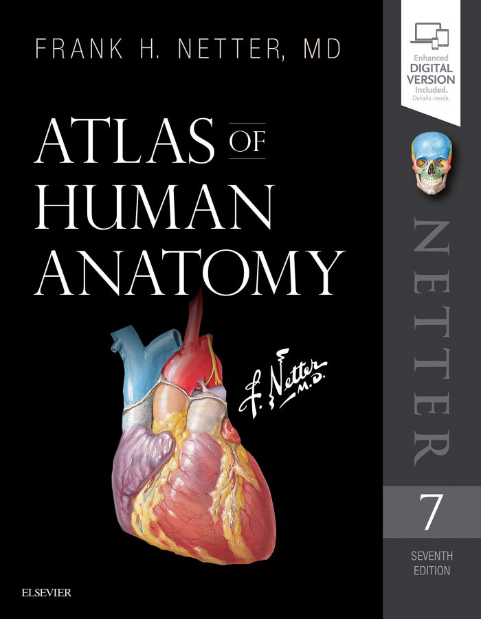 Human Anatomy 8th Edition Pdf